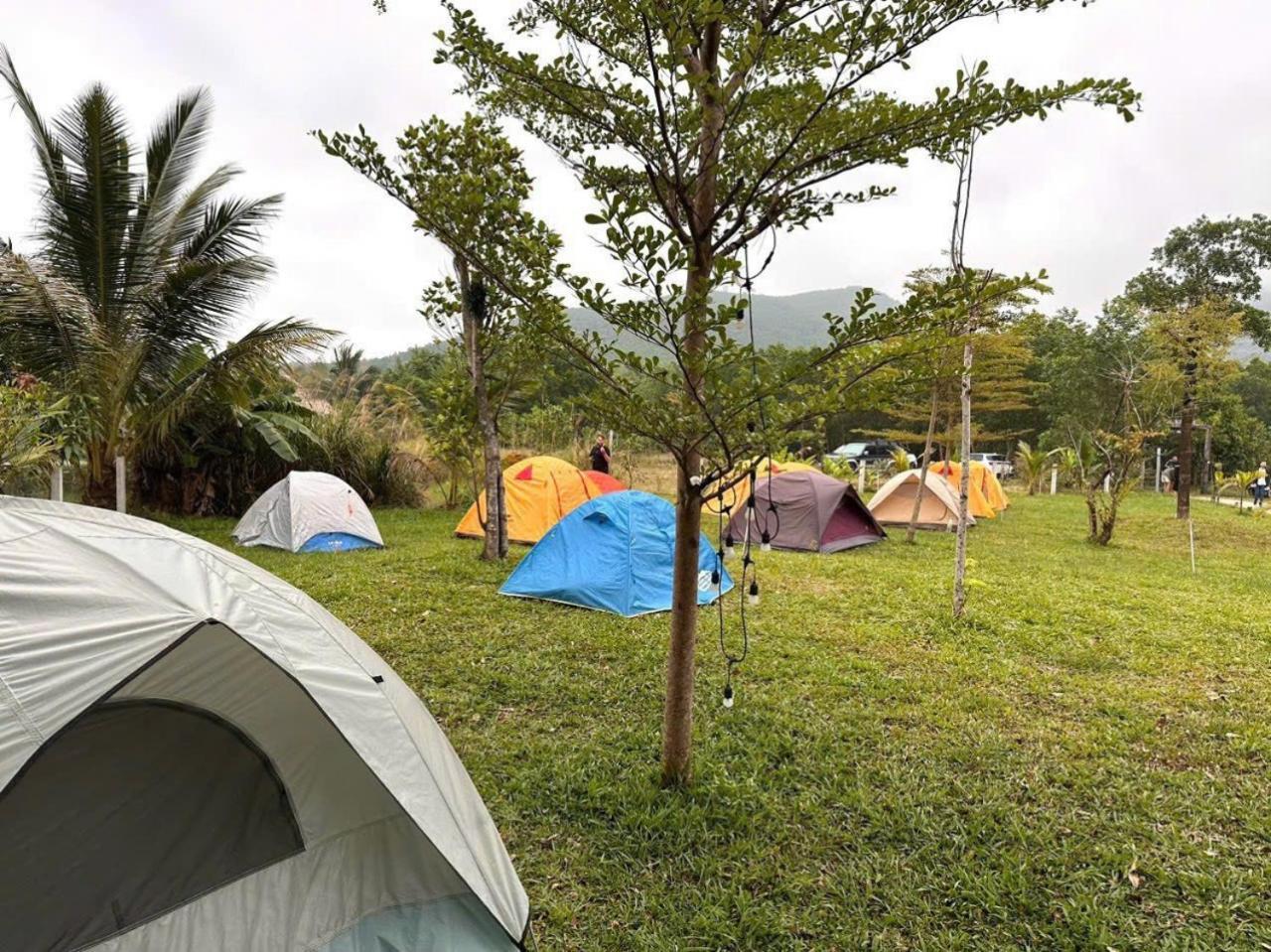 Homie Hava Homestay ลั่งโก้ ภายนอก รูปภาพ