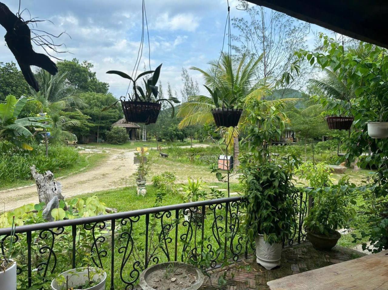 Homie Hava Homestay ลั่งโก้ ภายนอก รูปภาพ